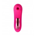 OH!RGASMIC MINI SUCKER